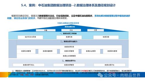 構(gòu)建卓越數(shù)據(jù)資產(chǎn) XX集團(tuán)數(shù)據(jù)治理體系建設(shè)方案之?dāng)?shù)據(jù)處理服務(wù)篇