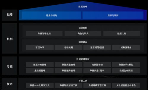 洞見(jiàn)未來(lái)，駕馭數(shù)據(jù) 國(guó)內(nèi)優(yōu)秀數(shù)據(jù)治理服務(wù)商及軟件開(kāi)發(fā)指南